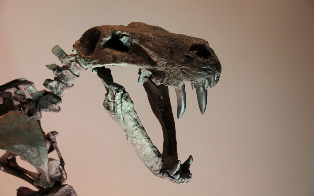 Dinosaurs – cool site