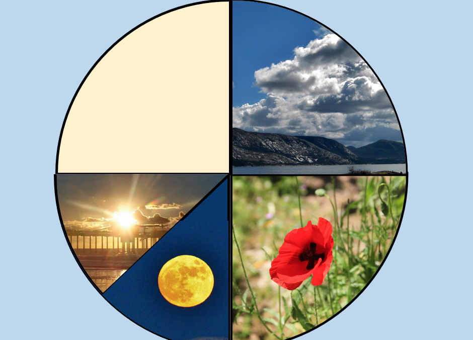 Creation:  Days 1 to 4