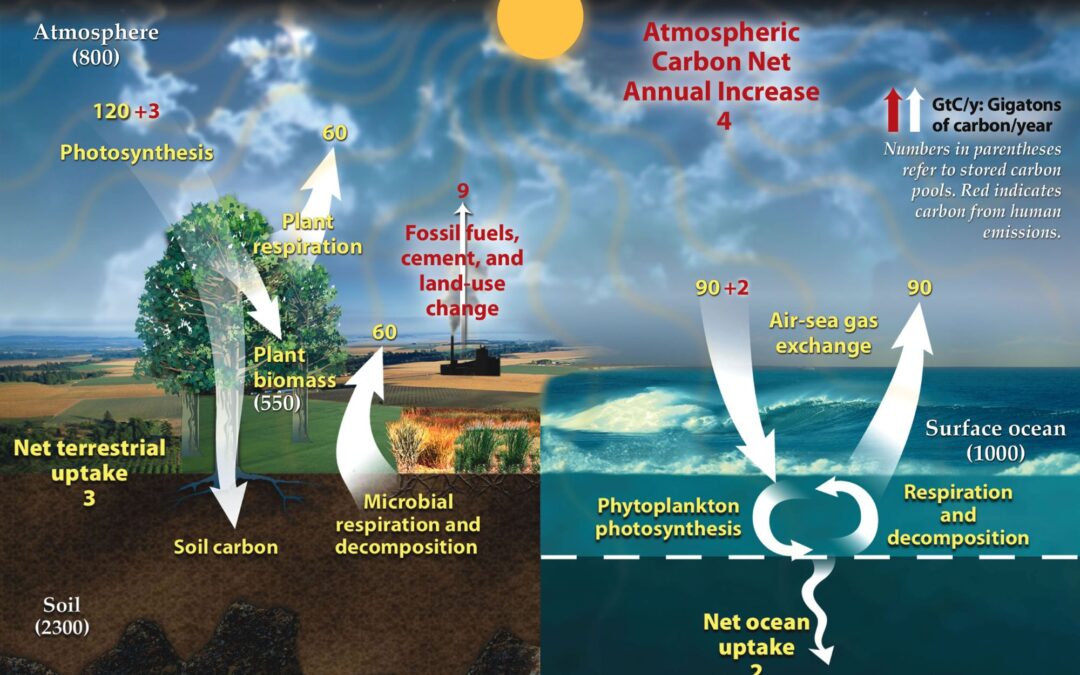 Earth’s deep carbon cycle points to a Creator