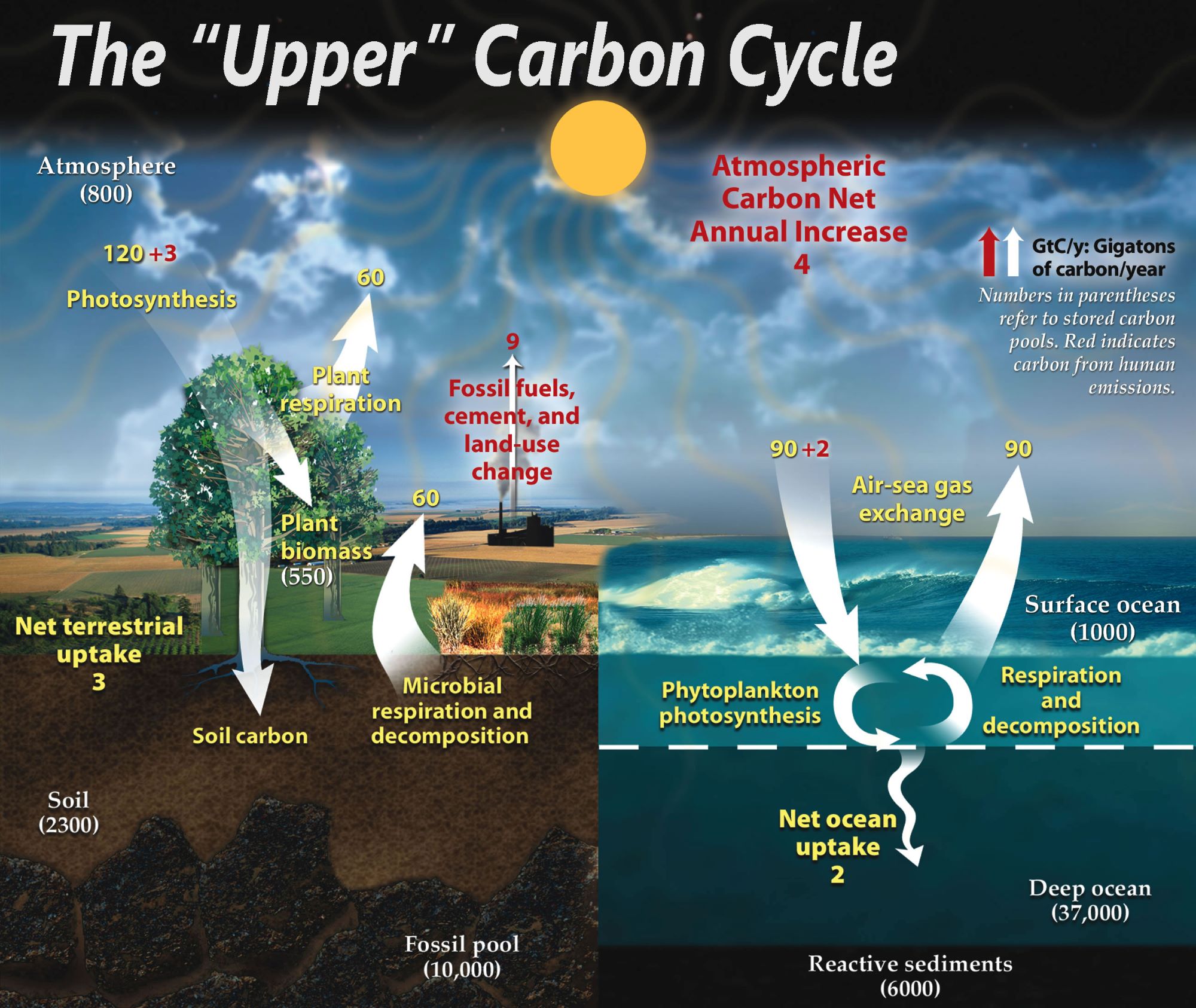 Earth’s deep carbon cycle points to a Creator