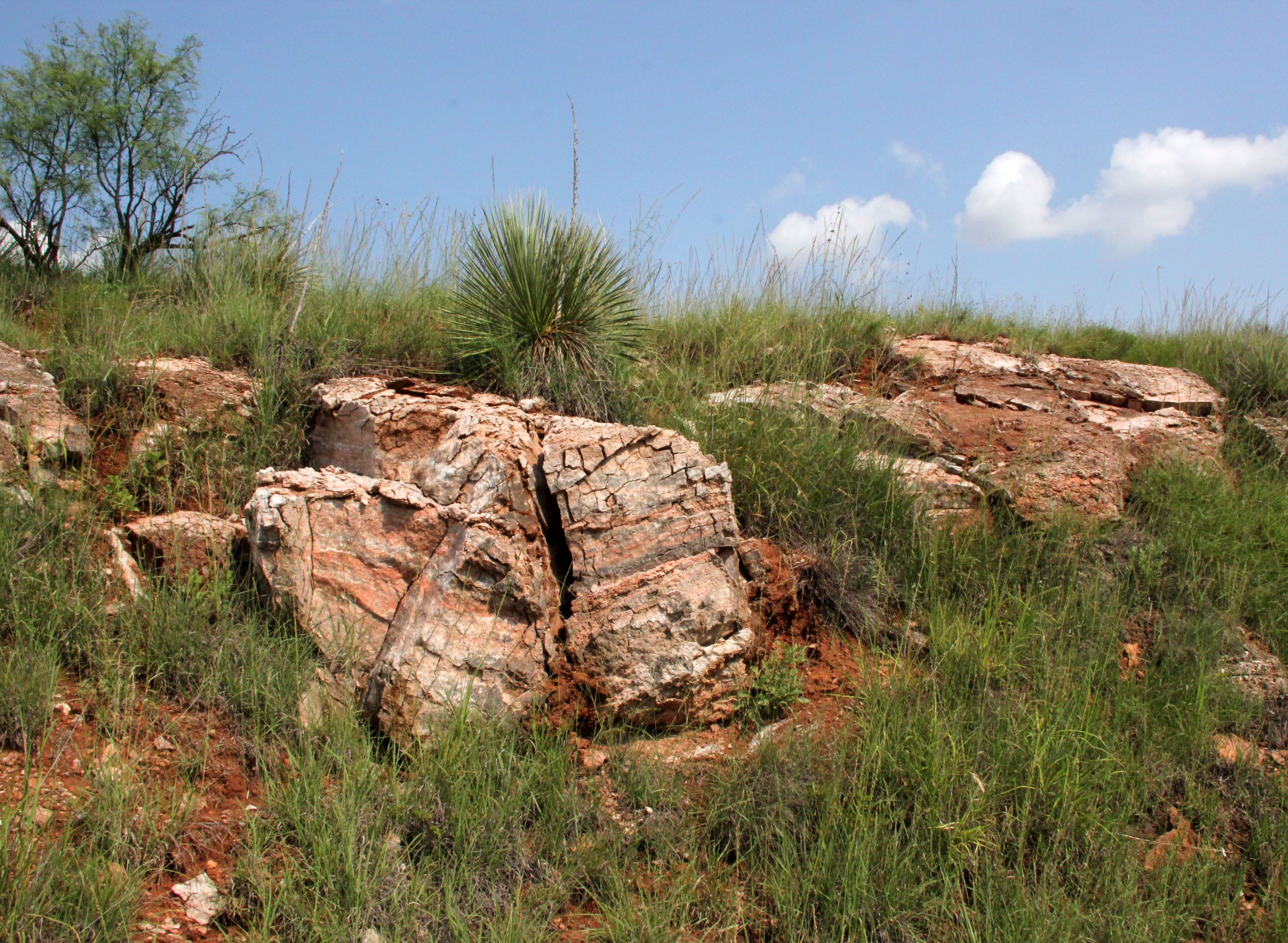 Gypsum deposits in New Mexico and West Texas
