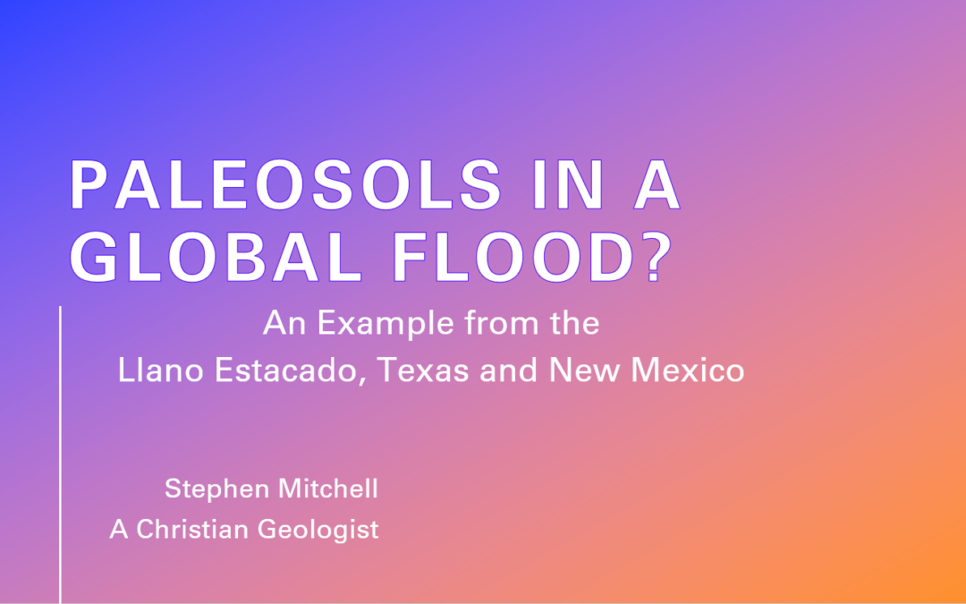 Paleosols in a Global flood?