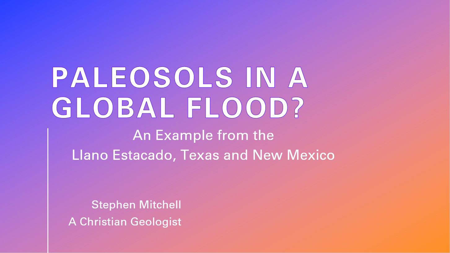Paleosols in a Global flood?