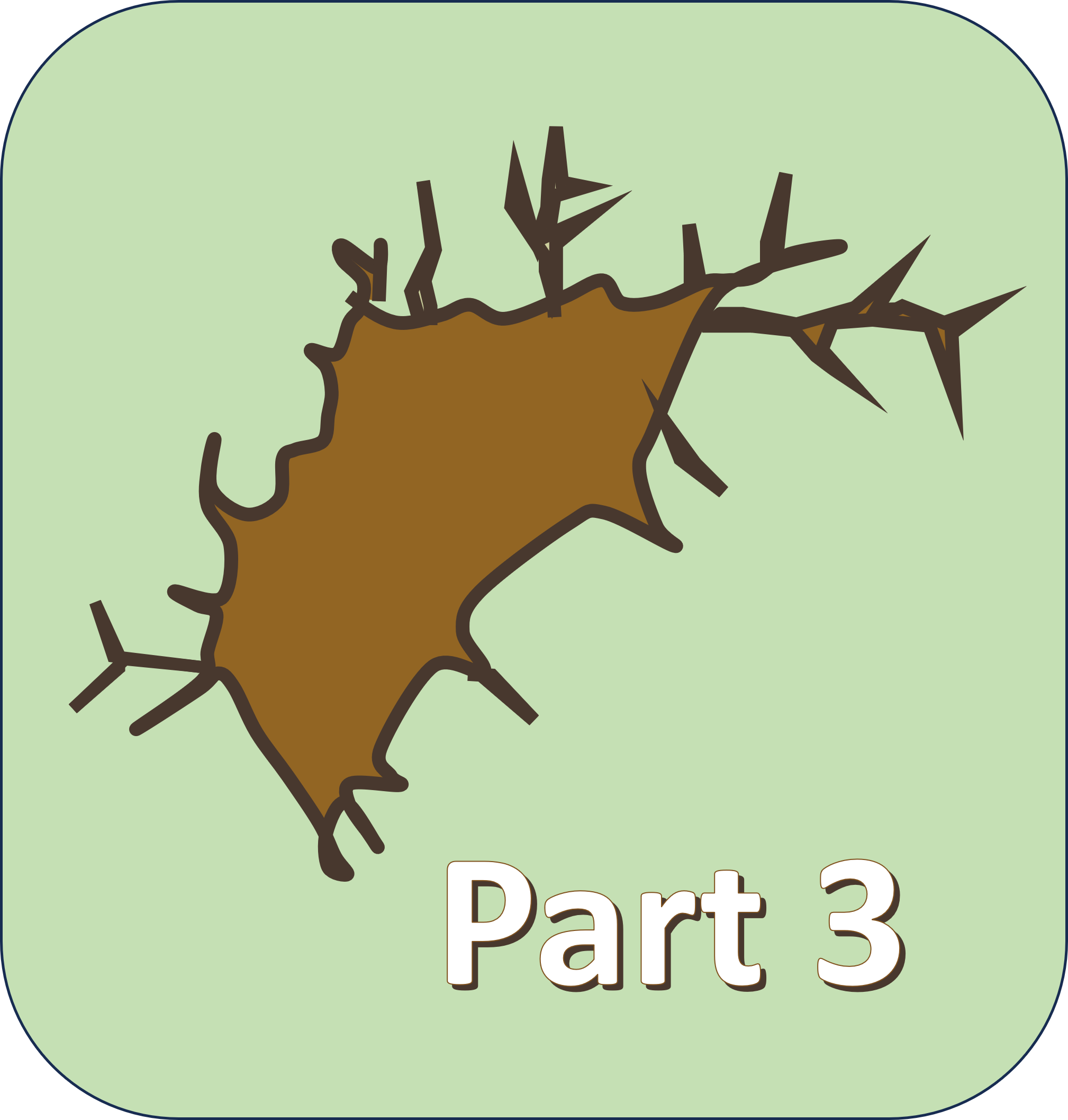 Part 3 cells