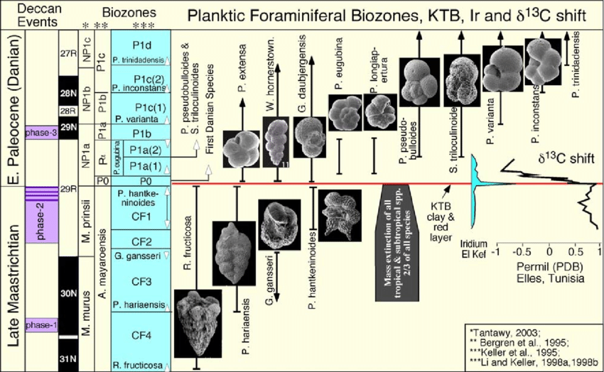 Biostratigraphy-and-planktic-foraminiferal-zones