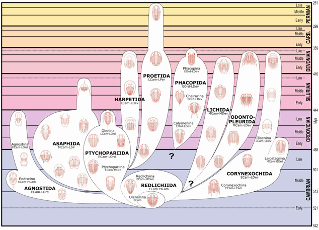 Figure 19a