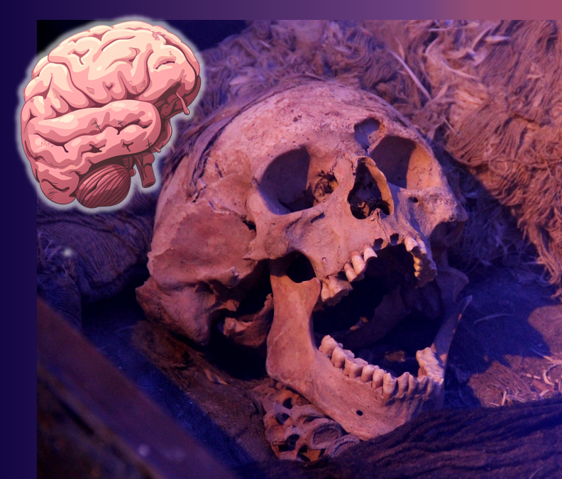 What?!   “Human brains preserved in diverse environments for at least 12 000 years”