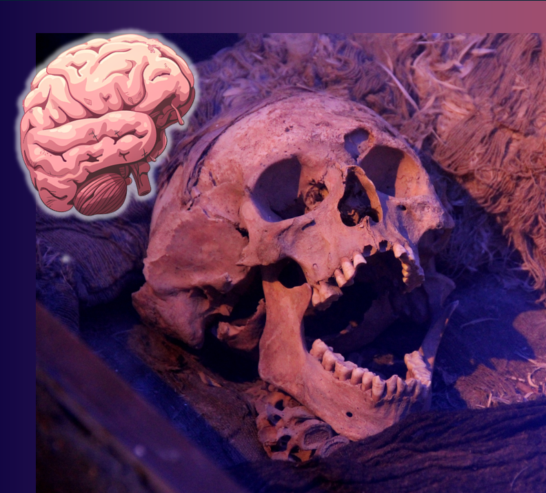 What?! “Human brains preserved in diverse environments for at least 12 000 years”