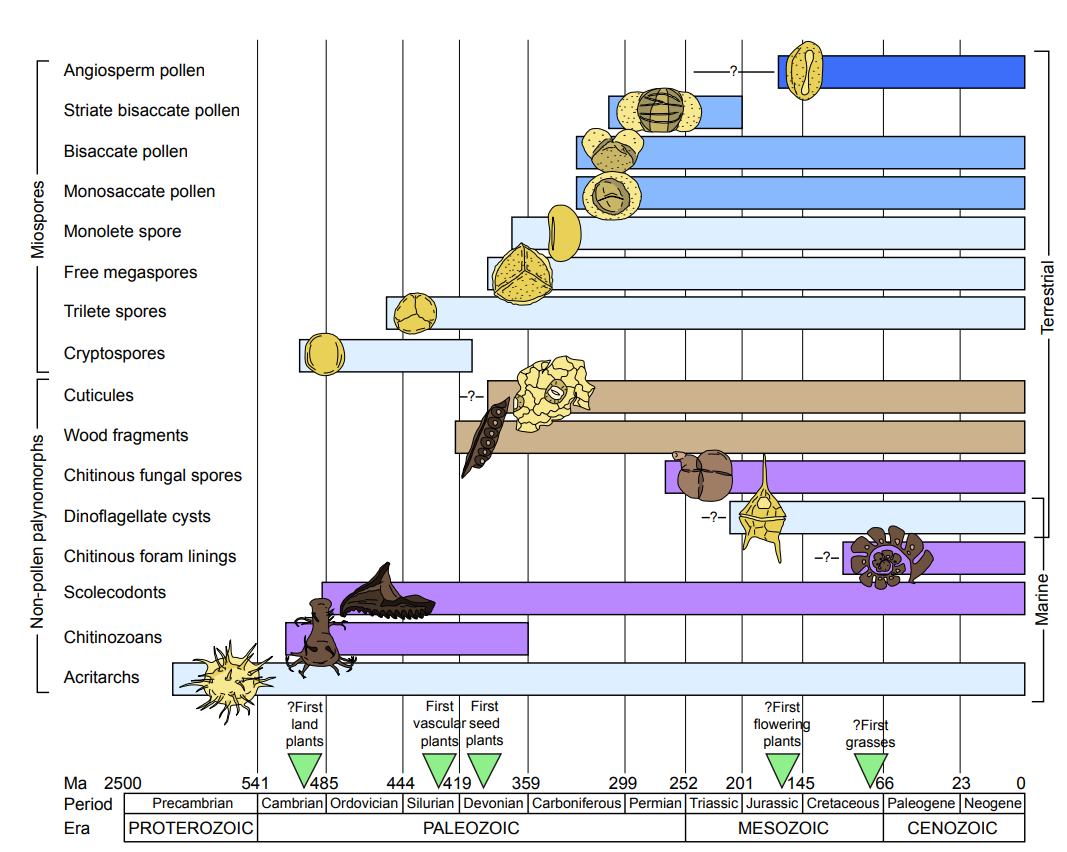 Spores and Pollen 1