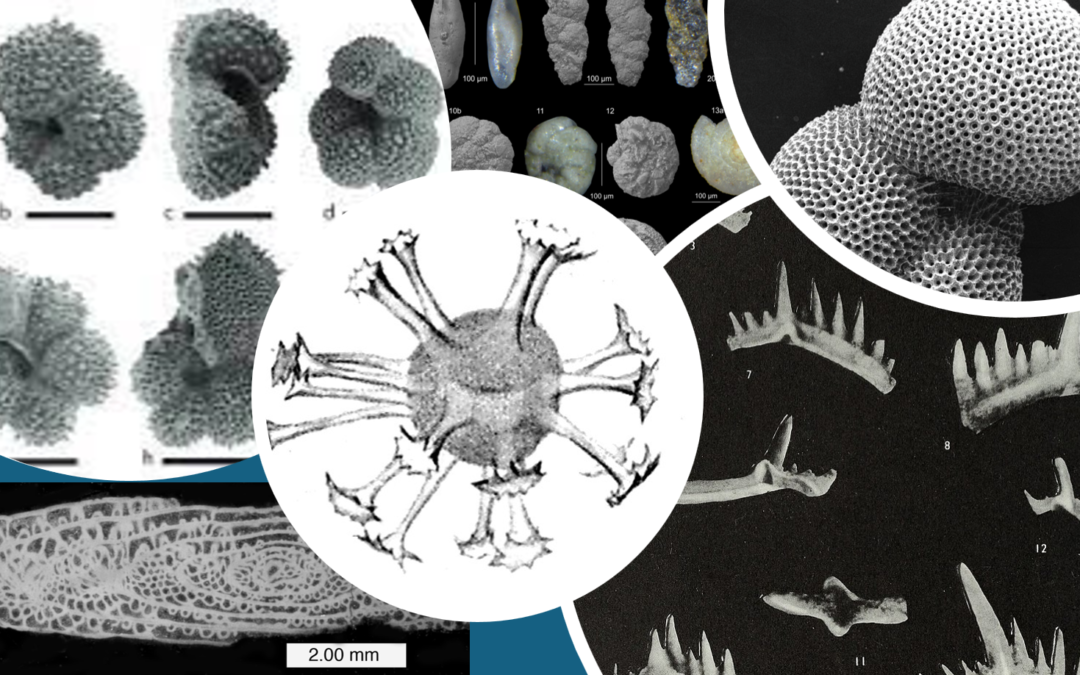 The Microfossil Record