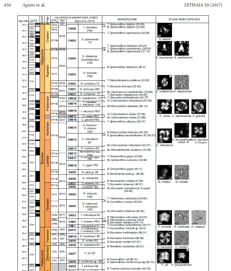nannofossils