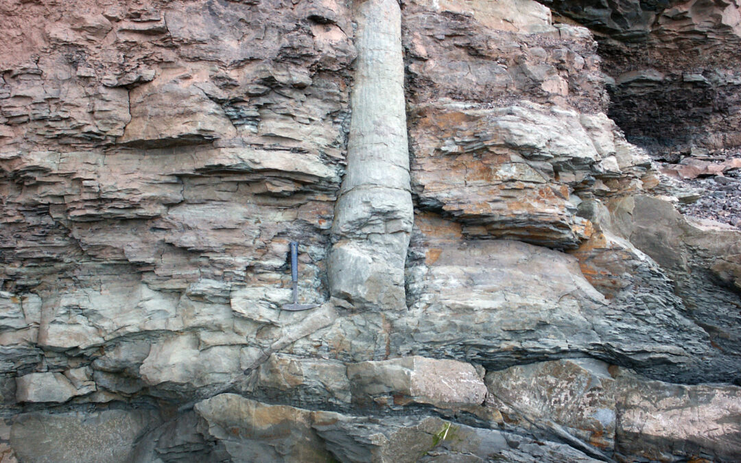 Polystrate Trees and Deep Time