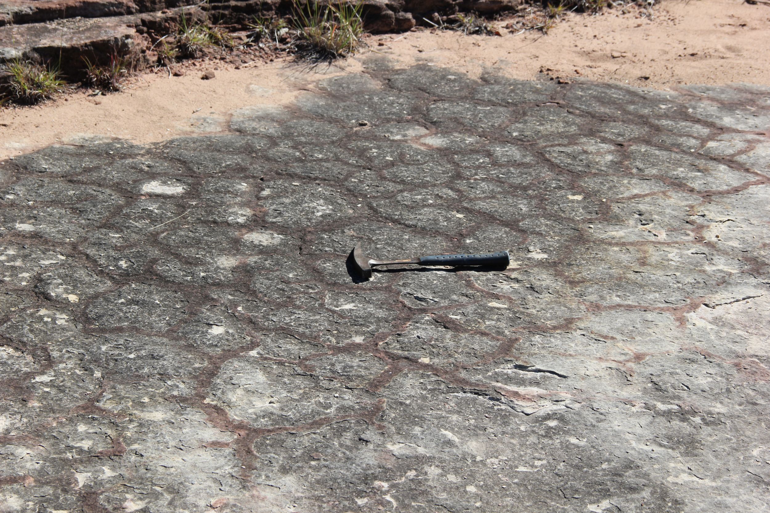 Hickory texas mudcracks resize