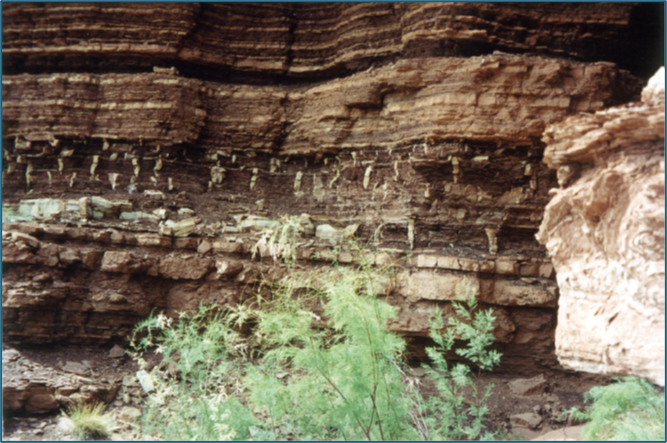 mudcracks cross section
