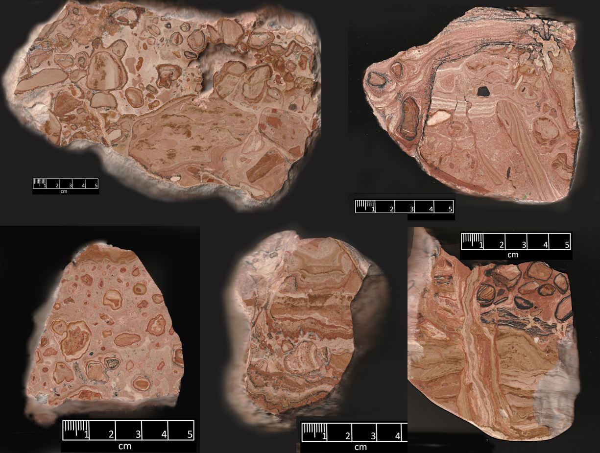 Caliche: An arid paleosol that was too slow for Flood Geology